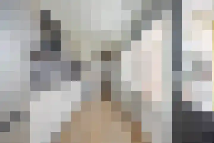 van Speykstraat 21 Dongen thumbnail 18