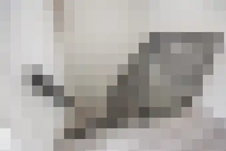 van Speykstraat 21 Dongen thumbnail 22
