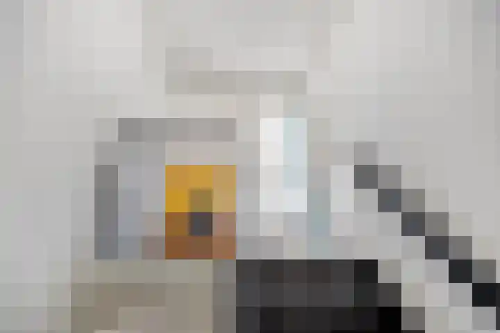 van Speykstraat 21 Dongen thumbnail 23