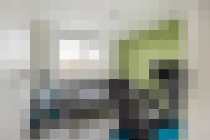 van Speykstraat 21 Dongen thumbnail 24
