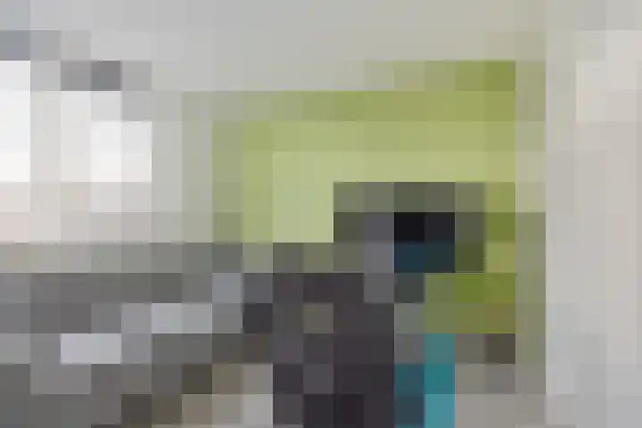 van Speykstraat 21 Dongen thumbnail 25