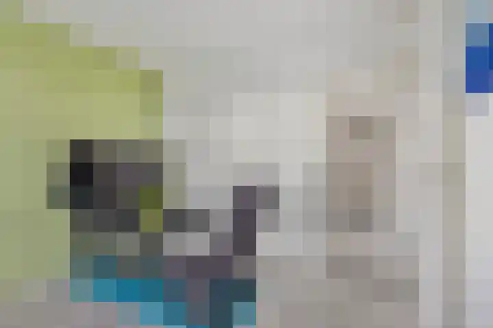 van Speykstraat 21 Dongen thumbnail 28