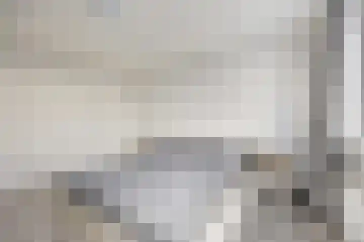 van Speykstraat 21 Dongen thumbnail 33