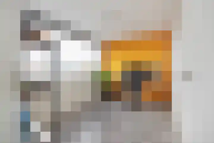 van Speykstraat 21 Dongen thumbnail 35