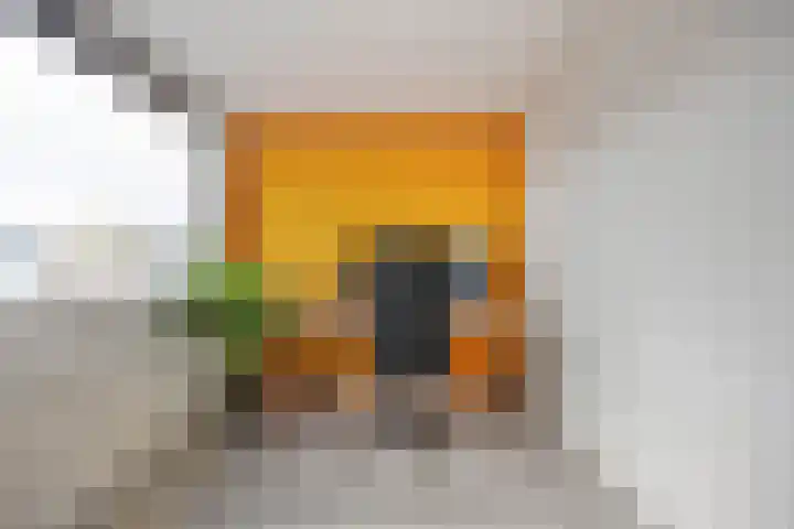 van Speykstraat 21 Dongen thumbnail 36