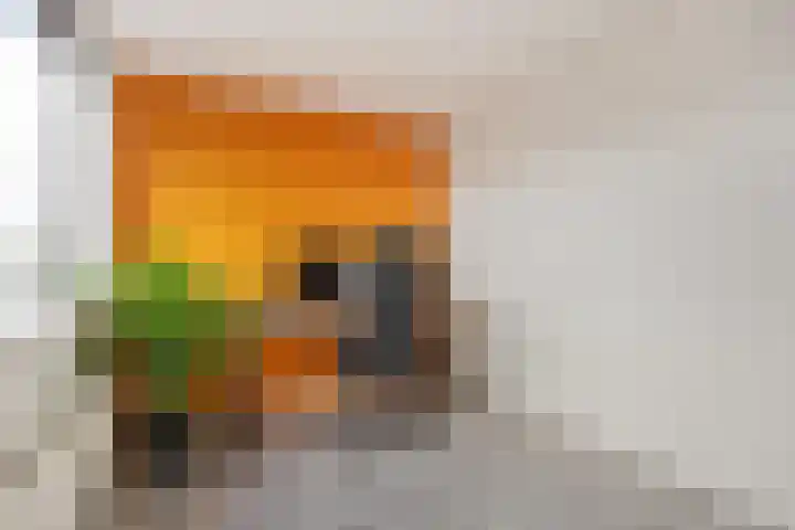 van Speykstraat 21 Dongen thumbnail 37