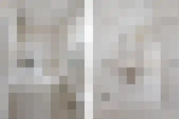 van Speykstraat 21 Dongen thumbnail 41