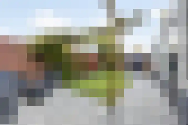 van Speykstraat 21 Dongen thumbnail 42