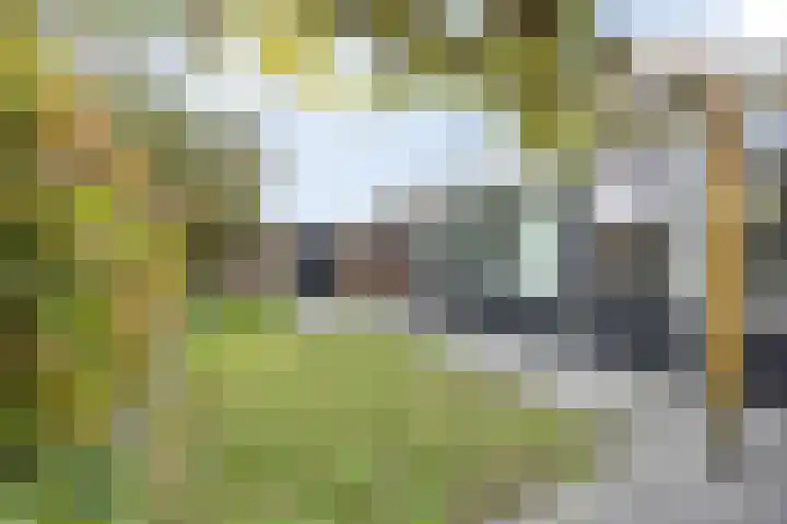 van Speykstraat 21 Dongen thumbnail 43