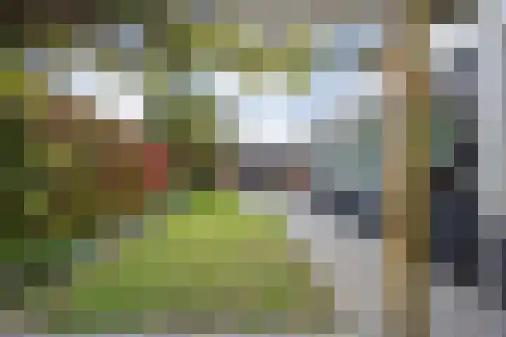 van Speykstraat 21 Dongen thumbnail 44