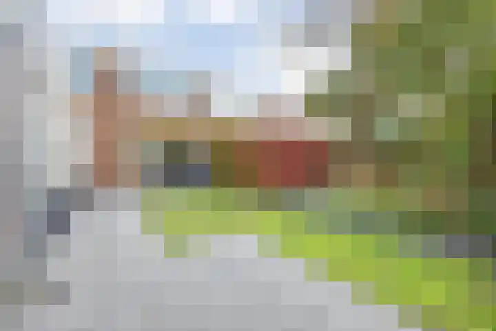 van Speykstraat 21 Dongen thumbnail 46