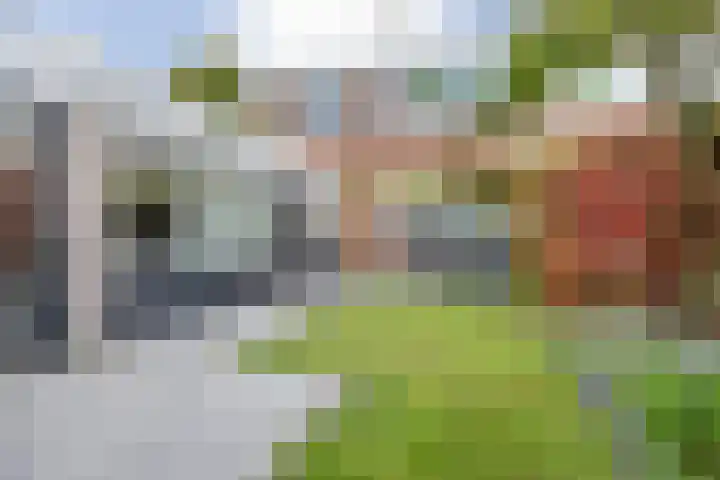 van Speykstraat 21 Dongen thumbnail 49