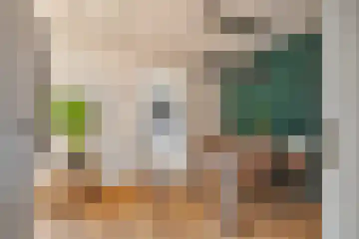 van Speykstraat 21 Dongen thumbnail 7