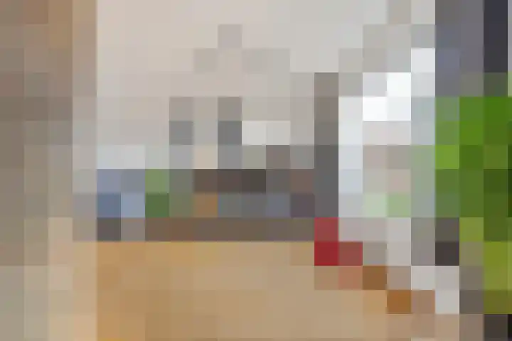van Speykstraat 21 Dongen thumbnail 8
