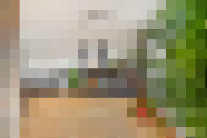 van Speykstraat 21 Dongen thumbnail 9