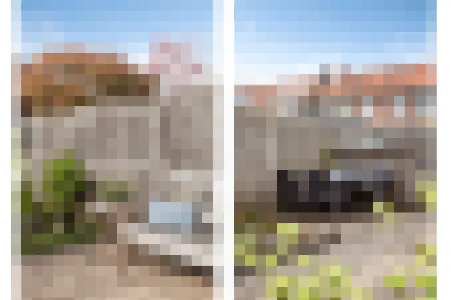 van Speykstraat 21 Lisse thumbnail 13