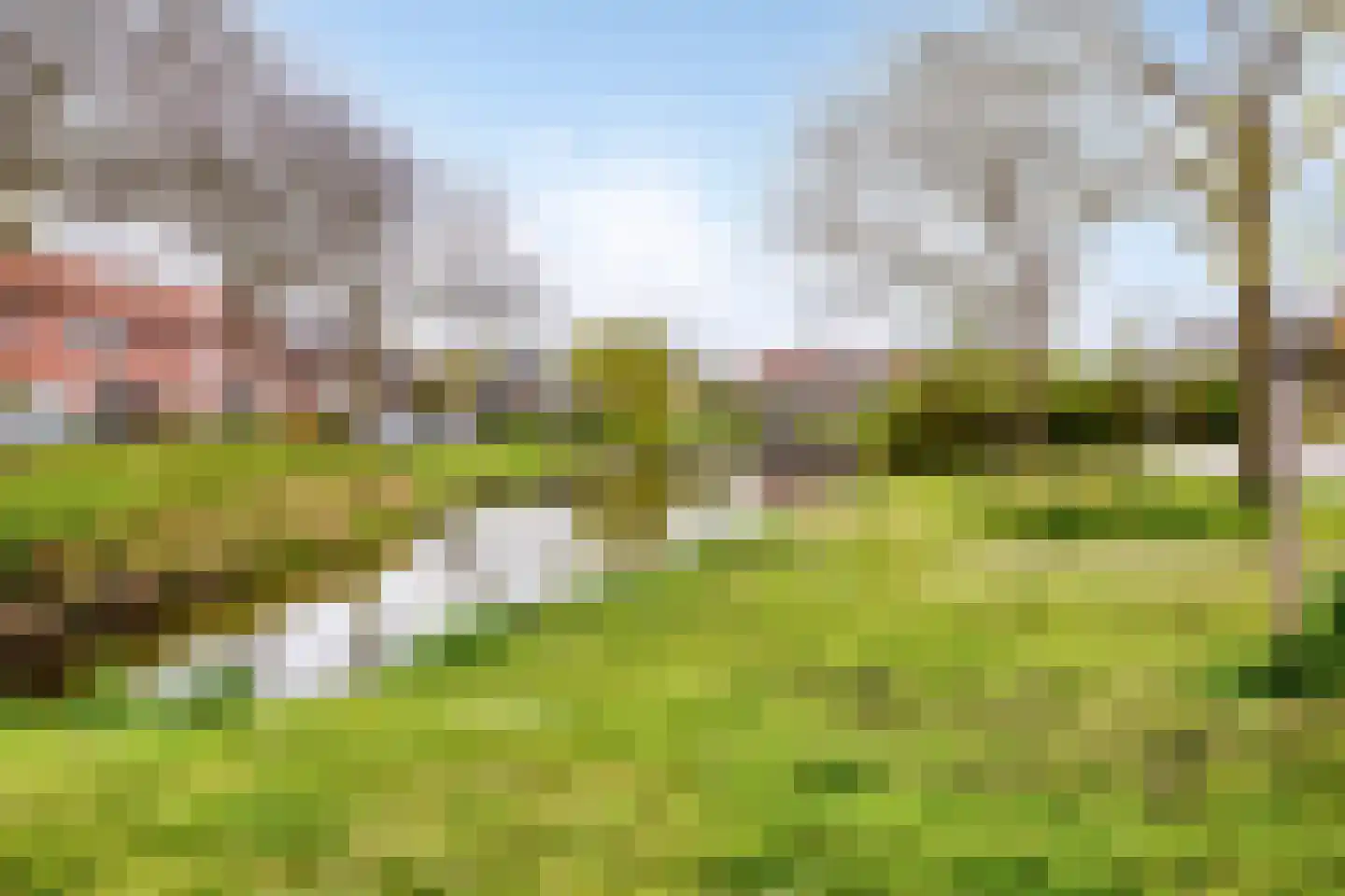 van Speykstraat 21 Lisse thumbnail 29