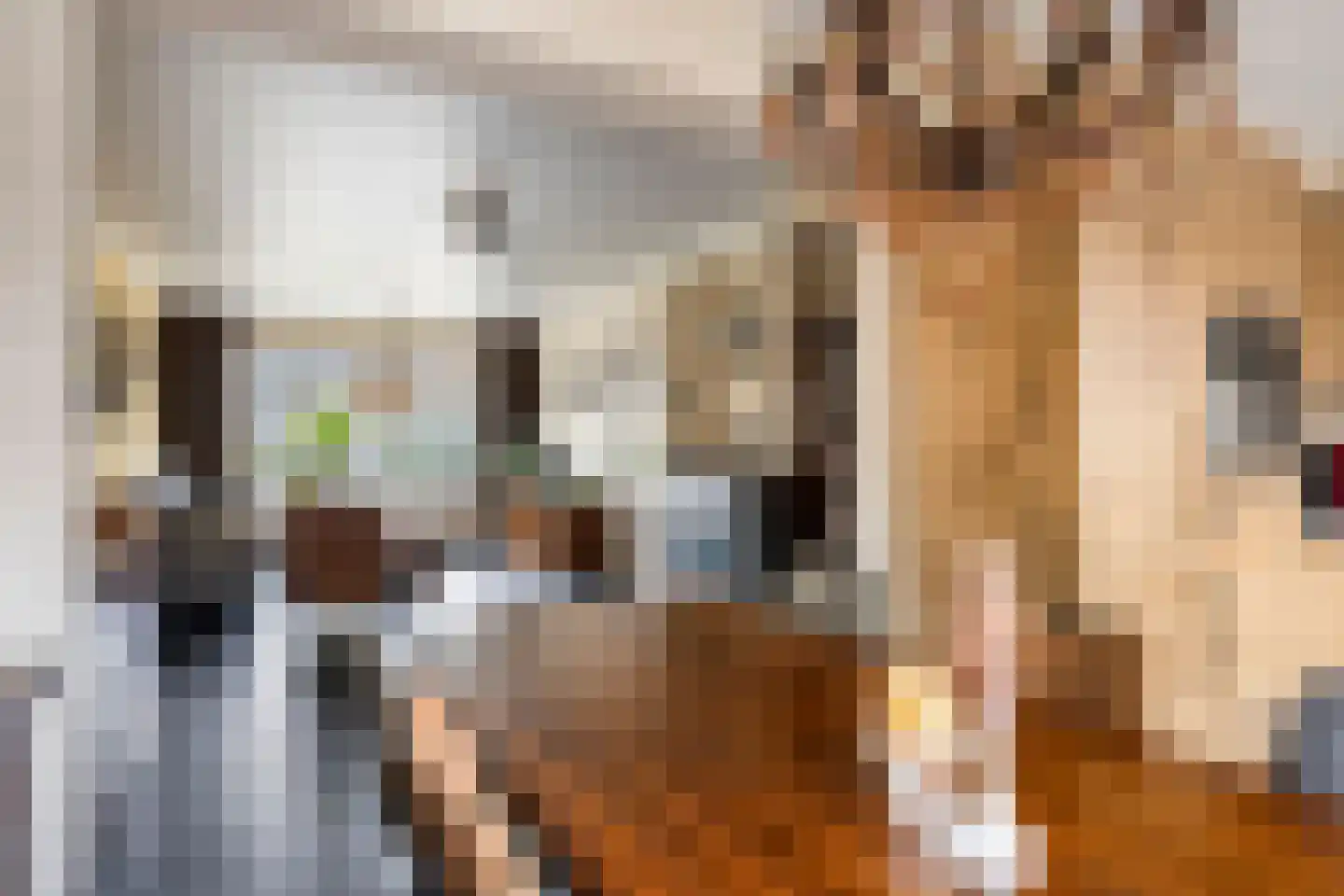 van Speykstraat 21 Lisse thumbnail 8