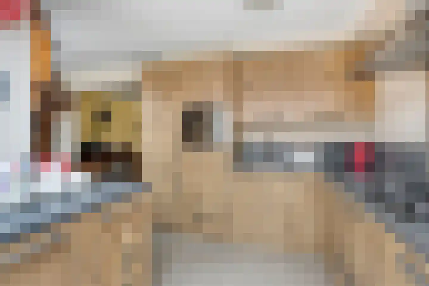 van Speykstraat 21 Lisse thumbnail 9