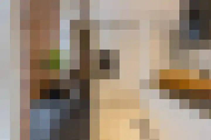 van Speykstraat 226 Lisse thumbnail 16