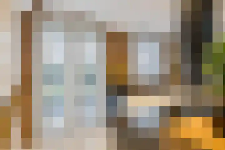 van Speykstraat 226 Lisse thumbnail 17