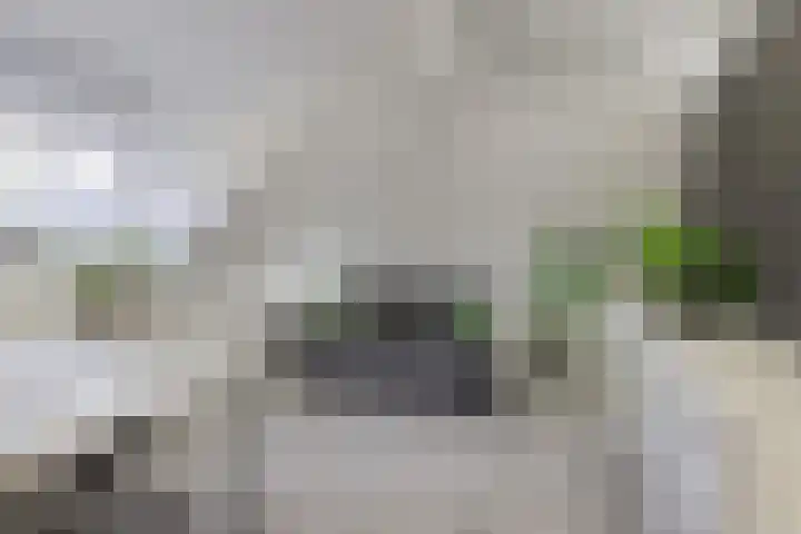 van Speykstraat 226 Lisse thumbnail 33