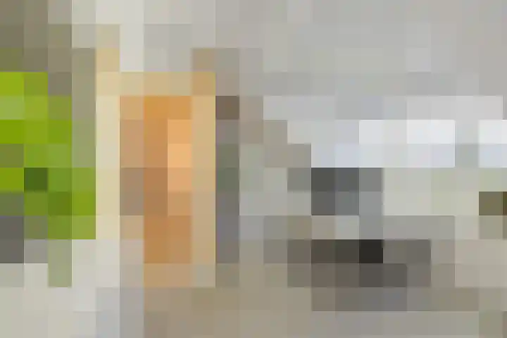 van Speykstraat 226 Lisse thumbnail 34