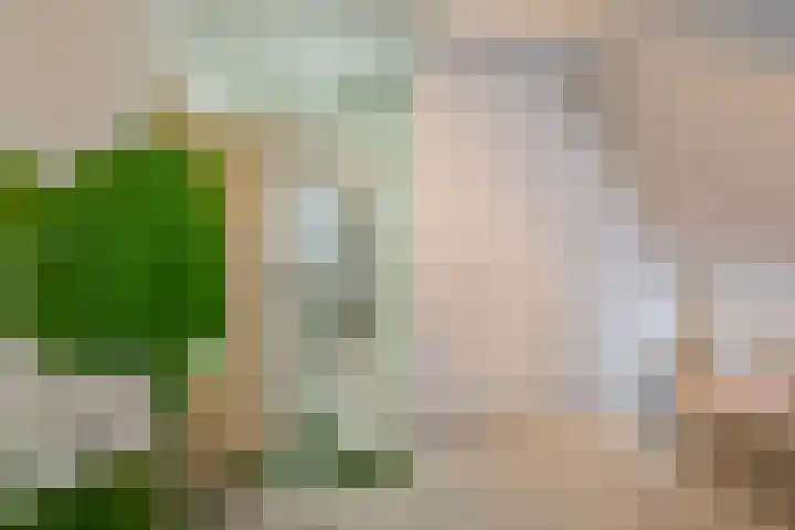 van Speykstraat 226 Lisse thumbnail 37