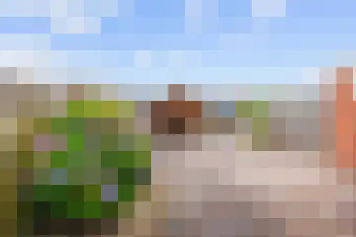 Van Speykstraat 24 Bedum thumbnail 30