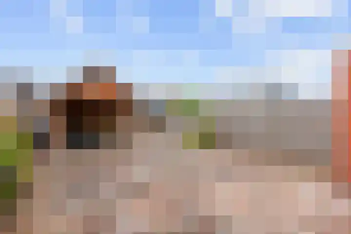 Van Speykstraat 24 Bedum thumbnail 31