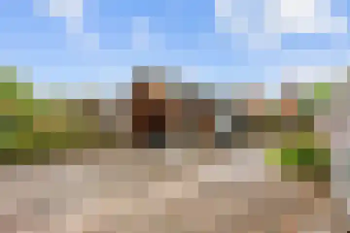 Van Speykstraat 24 Bedum thumbnail 34