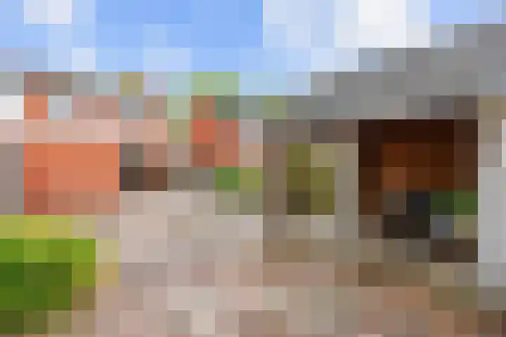 Van Speykstraat 24 Bedum thumbnail 35