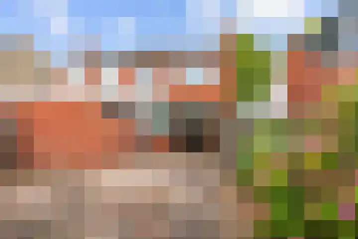 Van Speykstraat 24 Bedum thumbnail 37
