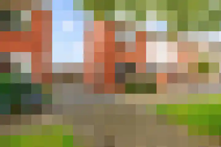 Van Speykstraat 24 Bedum thumbnail 38
