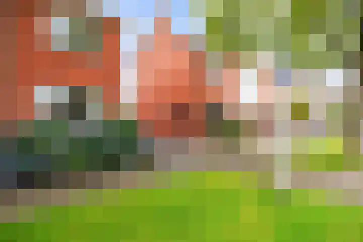 Van Speykstraat 24 Bedum thumbnail 39