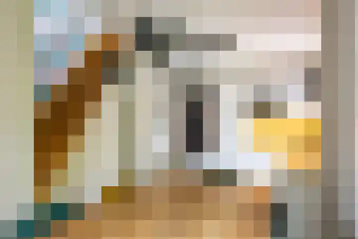 van Speykstraat 27 Roodeschool thumbnail 15