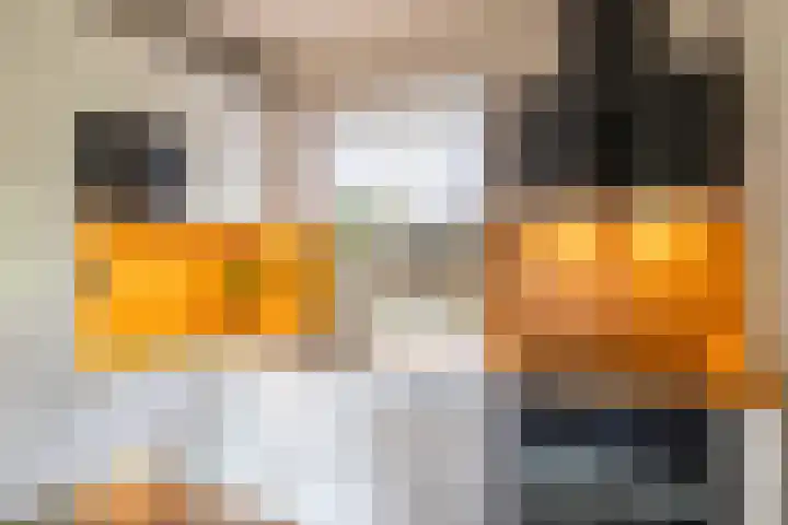 van Speykstraat 27 Roodeschool thumbnail 16