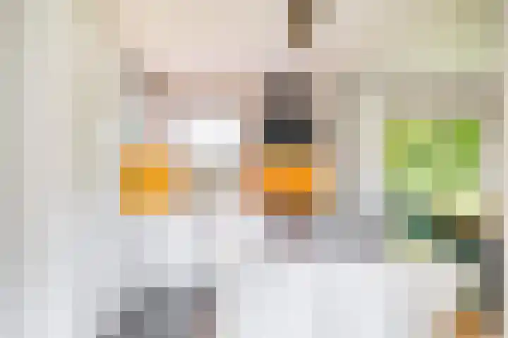 van Speykstraat 27 Roodeschool thumbnail 17
