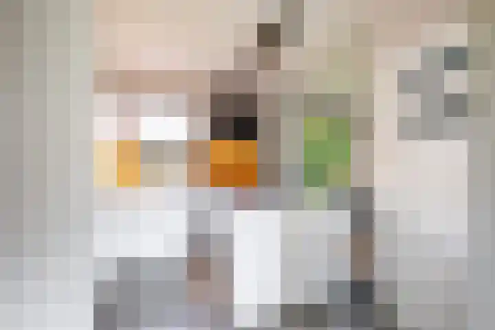 van Speykstraat 27 Roodeschool thumbnail 18