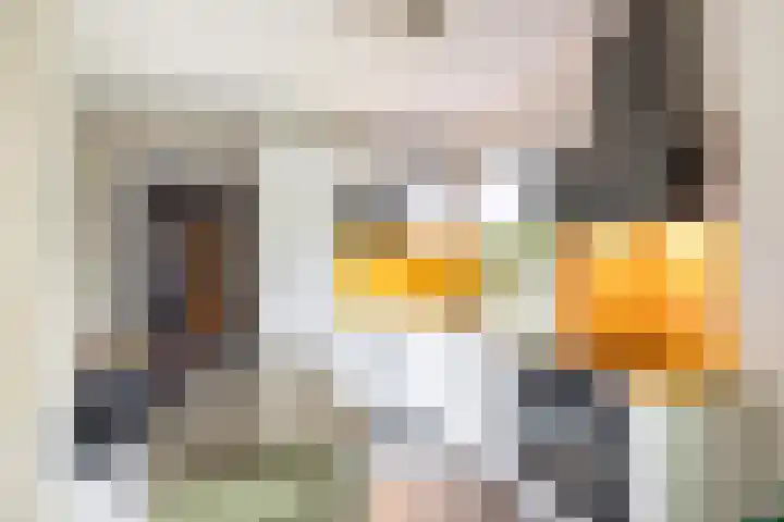 van Speykstraat 27 Roodeschool thumbnail 19