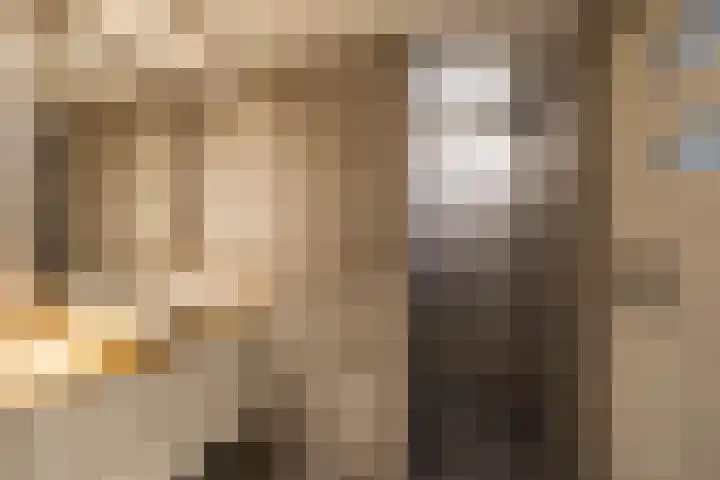 van Speykstraat 27 Roodeschool thumbnail 25