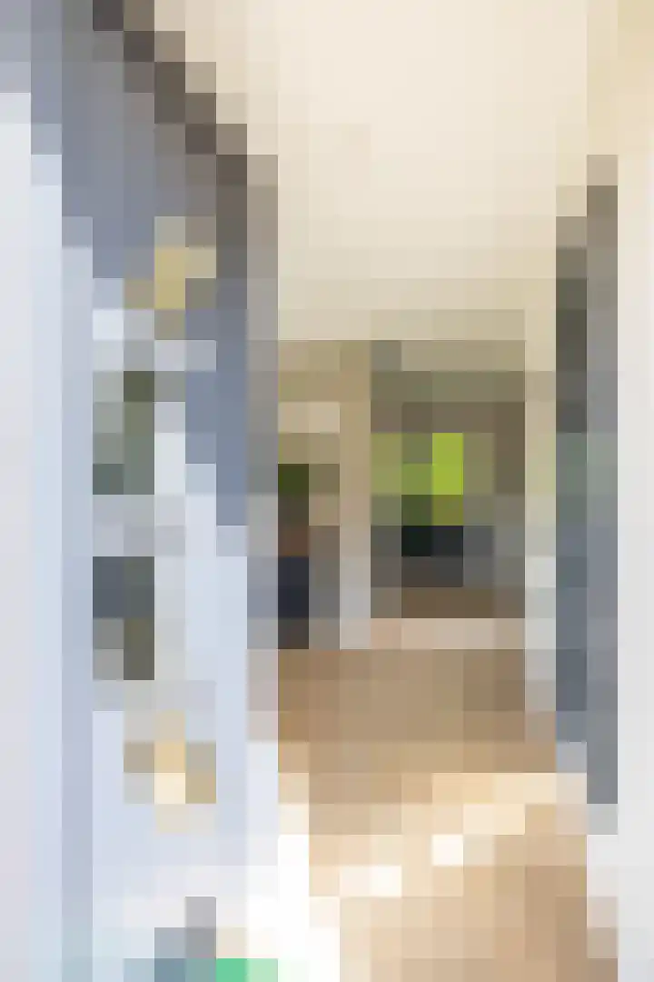 van Speykstraat 27 Roodeschool thumbnail 8