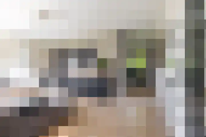 van Speykstraat 27 Roodeschool thumbnail 9
