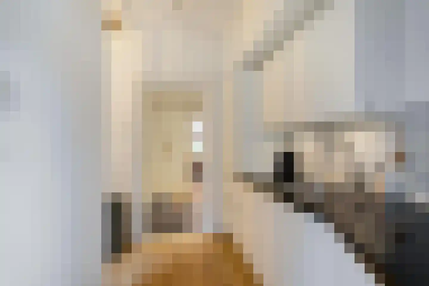 Van Speykstraat 28 Groningen thumbnail 18