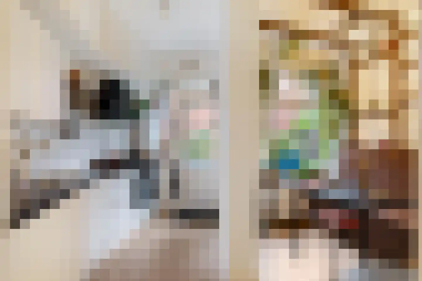 Van Speykstraat 28 Groningen thumbnail 4