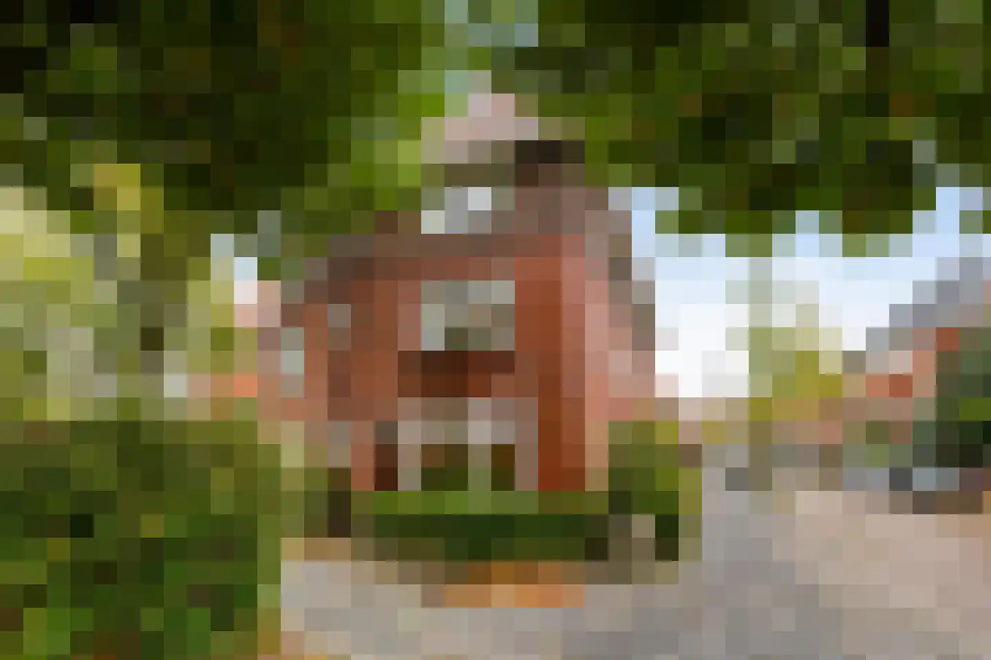 Van Speykstraat 28 Groningen thumbnail 7