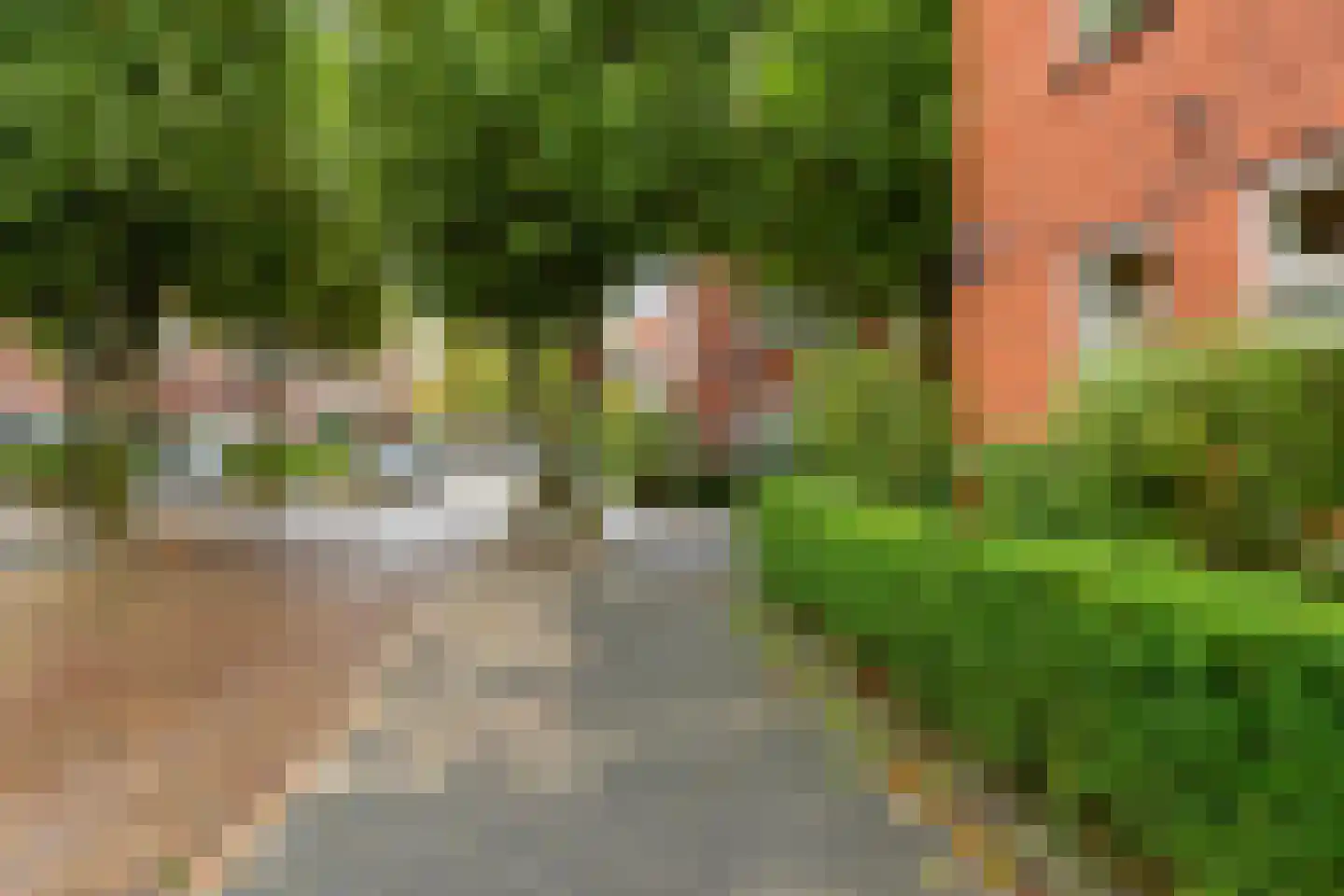 Van Speykstraat 28 Groningen thumbnail 9