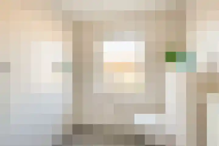 van Speykstraat 29 Lisse thumbnail 20