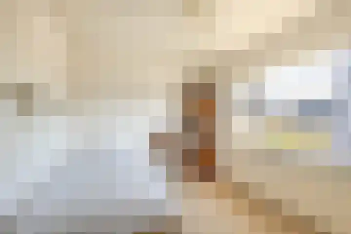 van Speykstraat 29 Lisse thumbnail 22