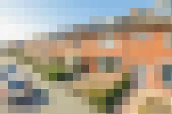 van Speykstraat 29 Lisse thumbnail 49